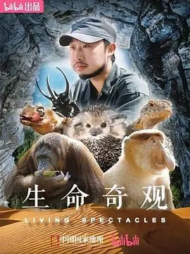 《生命奇观》：BBC顶级自然纪录片，震撼展现地球生命的壮丽与脆弱