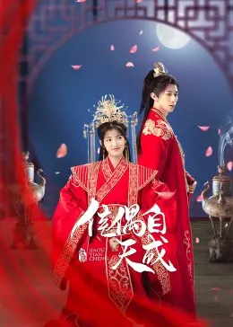 《佳偶自天成》：浪漫爱情喜剧，看欢喜冤家如何谱写真爱恋曲！