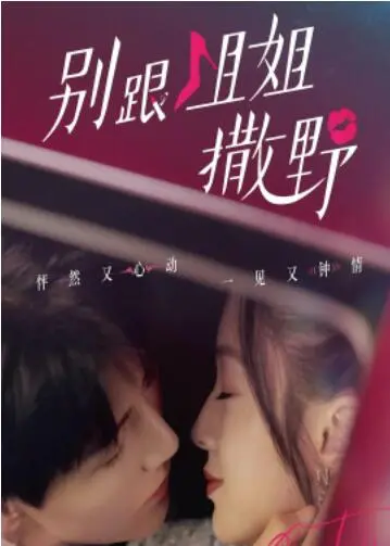 《别跟姐姐撒野》：爆笑！杀手姐姐的乡村生活，看她如何用爱与美食征服熊孩子