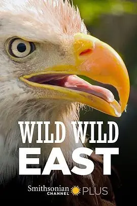 《狂野东部》：硬汉柔情，东北往事的血色浪漫与黑色幽默！